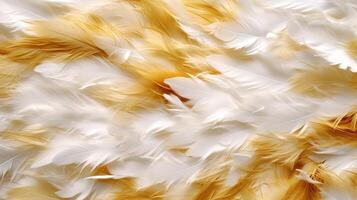 Close up gold and white feathers background, AI Generated photo