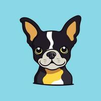 cute boston terrier pet vector illustration design