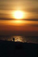 sunset over the Baltic sea in Poland Europe with a couple of people in love on the beach photo