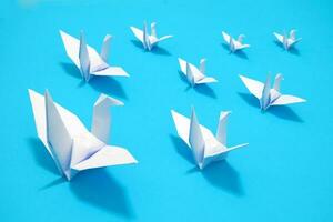 white bird origami paper on blue background. bird peace, freedom or opportunities concept photo