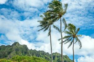 Kualoa mountain range panoramic view, famous filming location on Oahu island, Hawaii photo