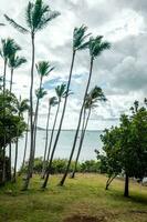 Kualoa mountain range panoramic view, famous filming location on Oahu island, Hawaii photo