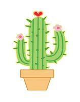 Cactus in the tree pot cartoon style vector