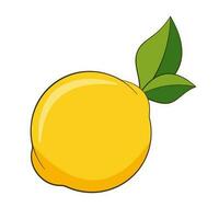 Fresh lemon. Cartoon vector