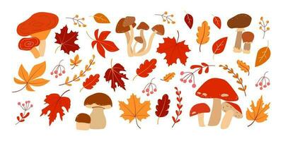 Autumn illustration set with mushrooms and leaves on white background. Happy harvest. vector