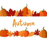 Autumn leaves and pumpkins border frame on white background with space text vector