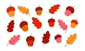 Acorn and oak leaves set, autumn, vector graphics. Vector illustration