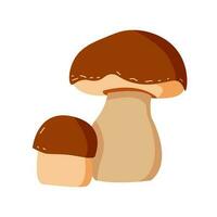 Mushrooms plants. Realistic natural foods vector