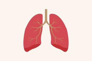 illustration of humans lung isolated on white background. education illustration. eps 10 vector