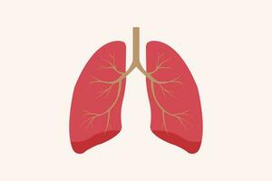 illustration of humans lung isolated on white background. education illustration. eps 10 vector