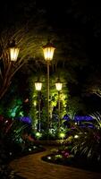 Night scenic garden environment created with generative ai technology photo