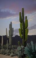 Splendid cactus landscape created with generative ai technology photo