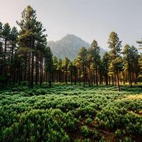 Nature scenery the trees in the pine forest on a clear summer daylight with green grass pattern created with technology photo