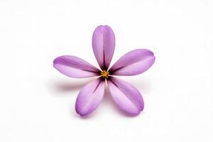 Fresco lila florecer hermosa púrpura flores neural red ai generado foto