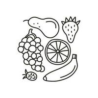 Group of fruits and berries. vector