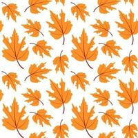Vector seamless pattern of yellow autumn maple leaves. Autumn Background