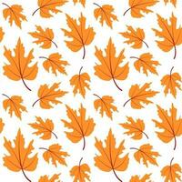 Vector seamless pattern of yellow autumn maple leaves. Autumn Background