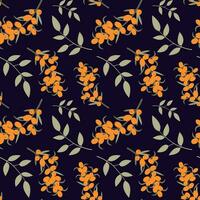 Cute sea buckthorn seamless pattern. Bright sea buckthorn berries, twigs and leaves isolated on dark background vector