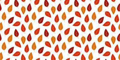 Vector seamless pattern of autumn leaves. Autumn Background