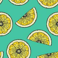 Lemon slice seamless pattern. Colorful hand drawn vector illustration in sketch style. Tropical exotic citrus fruit summer background