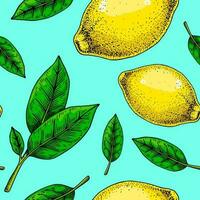 Lemon seamless pattern. Colorful hand drawn vector illustration in sketch style. Tropical exotic citrus fruit summer background