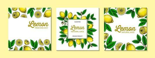 Square lemon background. Hand drawn colorful vector illustration in sketch stile. Design for packaging, logo, invitation, greeting cards