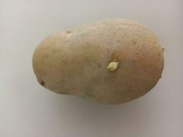 Potatoes on a white background, close-up, top view photo