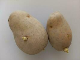 patatas en un blanco fondo, de cerca, parte superior ver foto