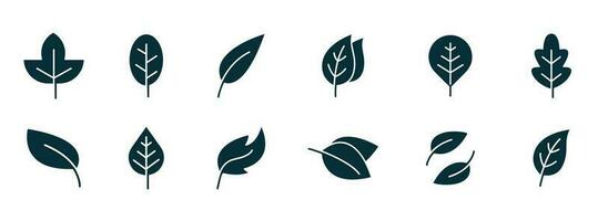 Leaf icon. Vector illustrations of botany, herbal, ecology, bio, organic, vegetarian, eco, fresh, and natural icon set