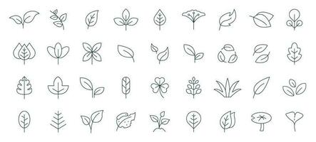 leaf icon set line style. Leaves of trees and plants, Leaves icon Collection, design for natural, eco, bio, and vegan labels. Vector illustration.