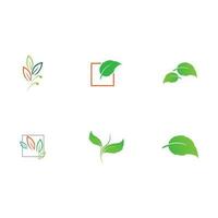 collection leaf logo vector