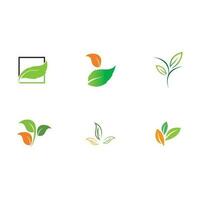 collection leaf logo vector