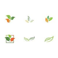 collection leaf logo vector