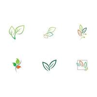 collection leaf logo vector