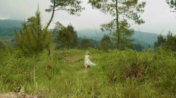 une magnifique femme dans une blanc costume en marchant dans une Montagne plein de arbustes video