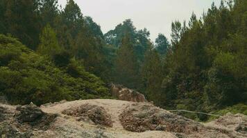 bellissimo Visualizza di rocce e verde alberi sopra il montagna cratere video