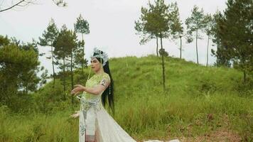 une magnifique Princesse dans une blanc robe et une couronne sur sa tête en marchant dans une Prairie video