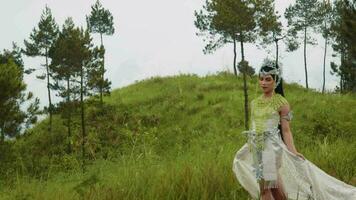 une magnifique Princesse dans une blanc robe et une couronne sur sa tête en marchant dans une Prairie video