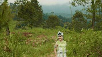 une magnifique femme dans une blanc costume en marchant dans une Montagne plein de arbustes video