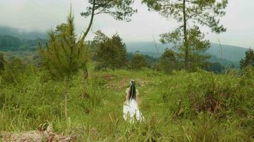 a princess in a white dress walking in a forest full of green grass video