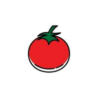 tomate icono vector ilustración diseño modelo