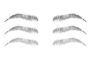 Eyebrow shape set, Fashion eyebrows of various shapes and types, Brown eyebrow bag, Brown eyebrows isolated on white background, Brown eyebrow vector