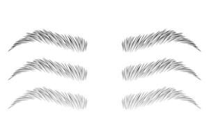 Eyebrow shape set, Fashion eyebrows of various shapes and types, Brown eyebrow bag, Brown eyebrow vector, Brown eyebrows isolated on white background vector