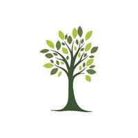 organic nature tree plant illustration leaf vector