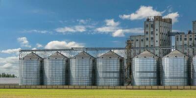 agro silos on agro-industrial complex and grain drying and seeds cleaning line. photo