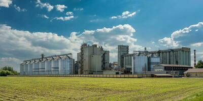 agro silos on agro-industrial complex and grain drying and seeds cleaning line. photo