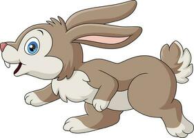 Cute rabbit cartoon on white background vector