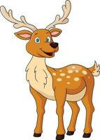 Cute deer cartoon on white background vector