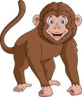 Cute baby monkey cartoon on white background vector