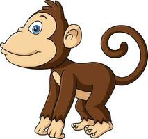 Cute monkey cartoon on white background vector